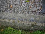 image of grave number 919781